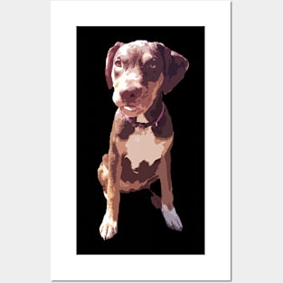 Xena the Brown Mutt Puppy Posters and Art